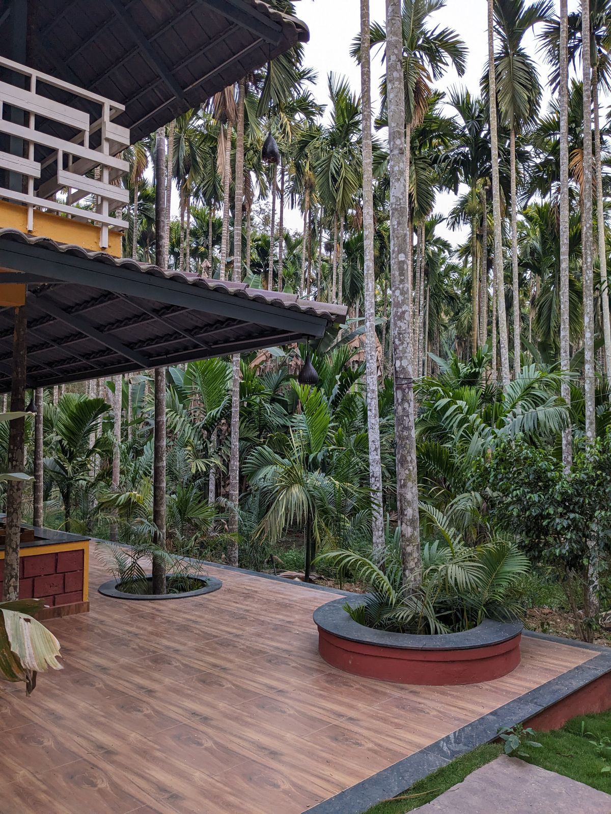 Dandeli Room 1